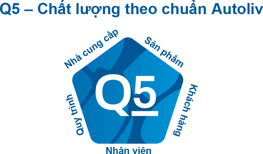 Q5 - Quality Vietnamese